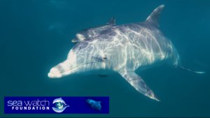 Act 1 v3.00_00_45_22.Still004