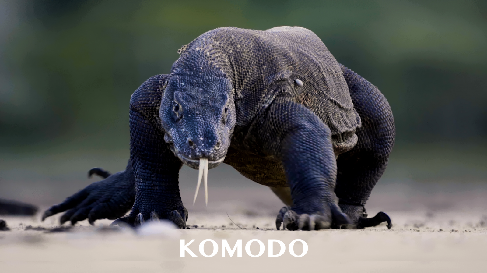 Screenshot 2025-12-17 at 15.31.11